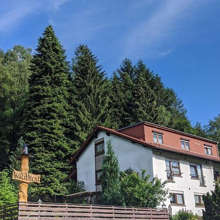 Hotel Waldnest Odenwald Exteriér fotografie