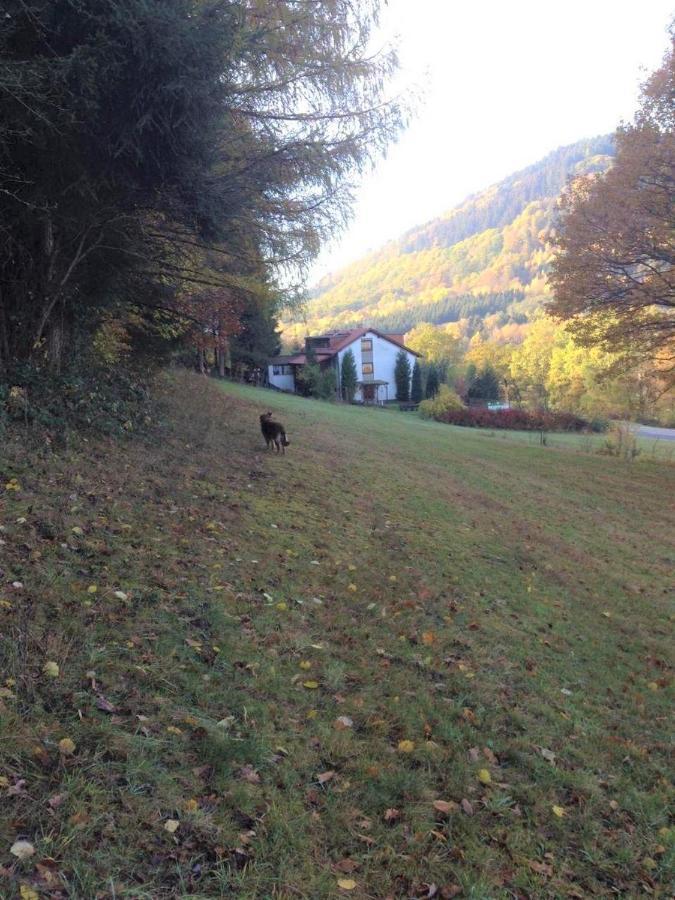 Hotel Waldnest Odenwald Exteriér fotografie