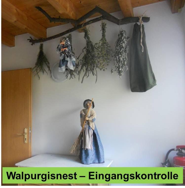 Hotel Waldnest Odenwald Exteriér fotografie